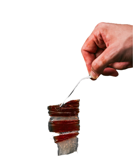 Mano ofreciendo jamón ibérico